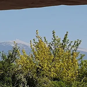  Maison d'hôtes Pura Vida